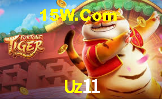 Interface Premium Uz11
